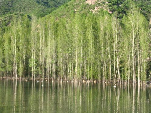 喇叭沟门原始森林公园