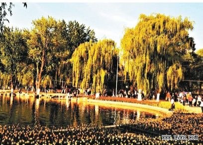 第7位西宁市:昆仑夏都 第7位西宁市:昆仑夏都