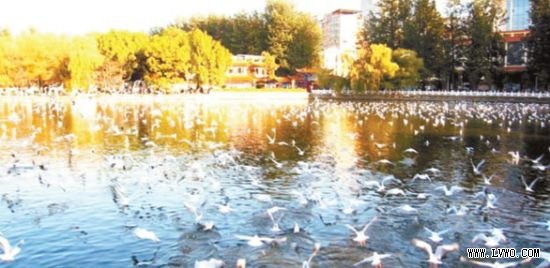 第1位昆明市：国际春城