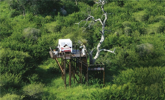 世界九大梦幻户外酒店与星辰同眠(图)