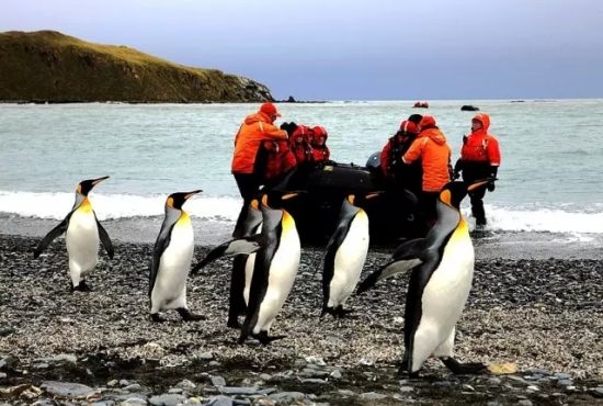 点击图片进入第一页