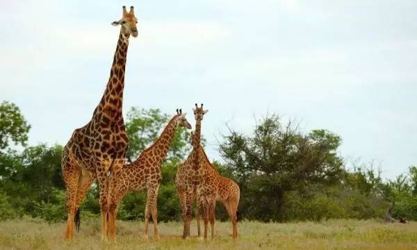 2016年全球最佳旅行目的地排名TOP10