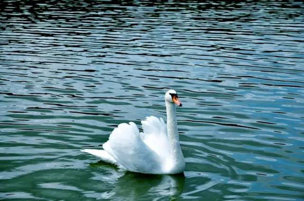 旅行中33件提升逼格的小事儿！你做过几个？