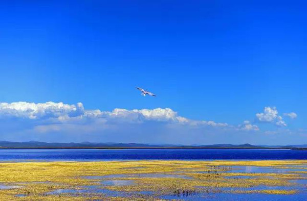 99%的人都不知道的中国九个旅行目的地秘密