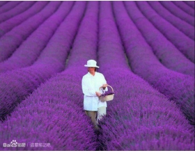 世界美图美景