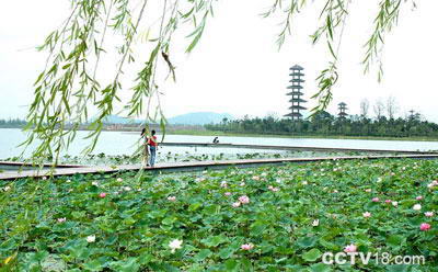 暨阳湖生态园区