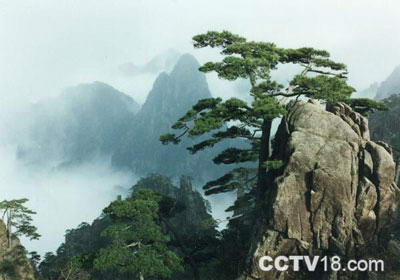 黄山景区风景图