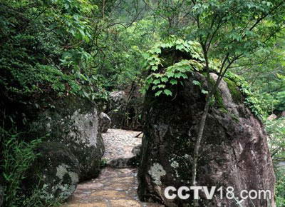 障山大峡谷风景图
