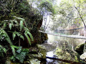 石佛山森林公园风景图