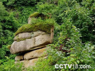 祖山原始森林峡谷风景图