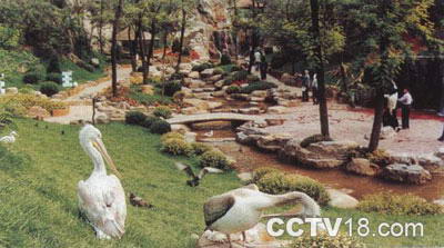 大城山公园风景图