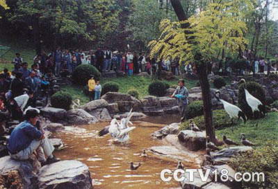 大城山公园风景图