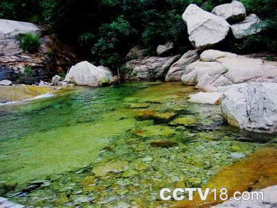 祖山原始森林峡谷风景图