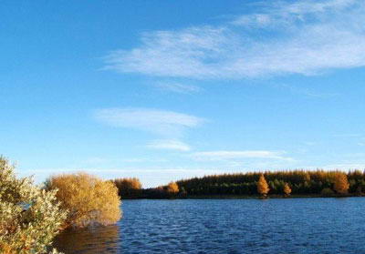 塞罕坝国家森林公园风景图