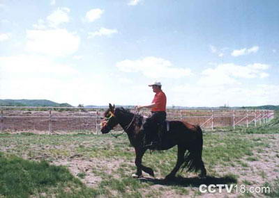 新世纪青年生态园风景图