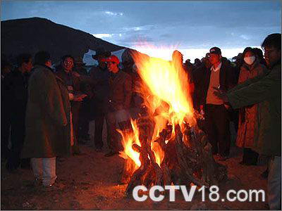 新世纪青年生态园风景图