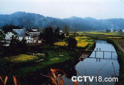 思溪.延村风景区风景图