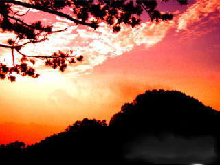 赛武当自然保护区风景图