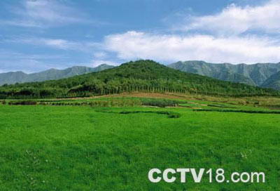 龙凤地宫风景图