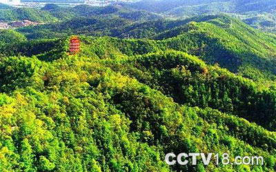 圭峰山国家森林公园