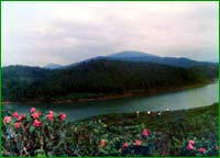 深田湖避暑山庄