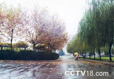 西安石油大学风景图