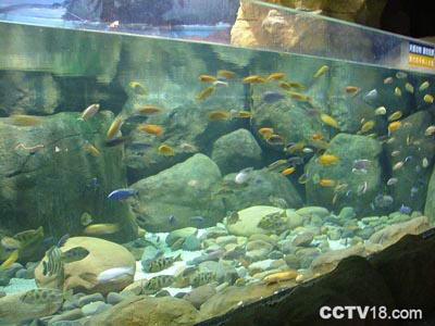 海洋博览会纪念公园