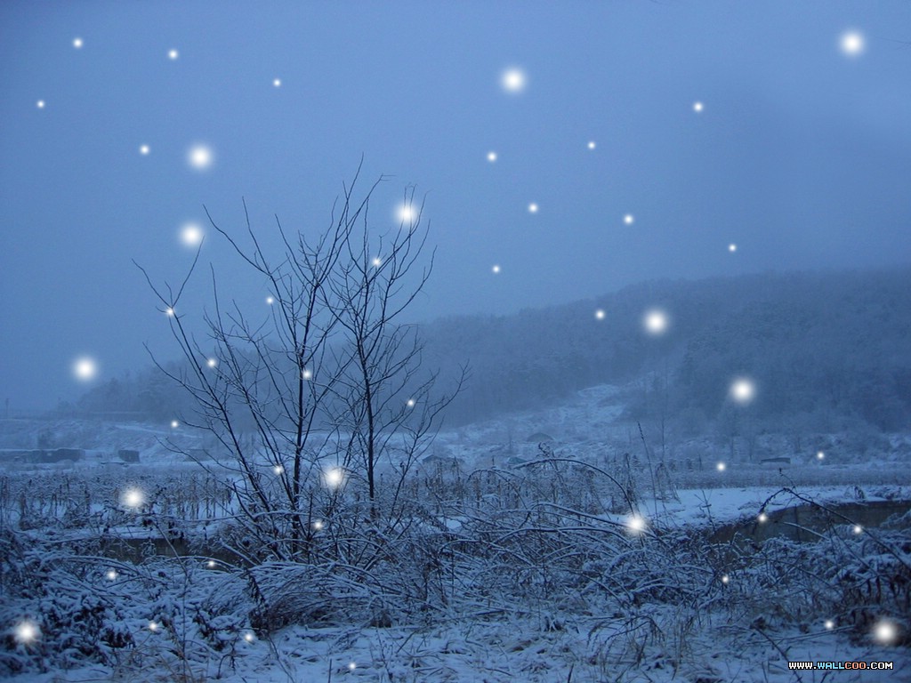 雪天