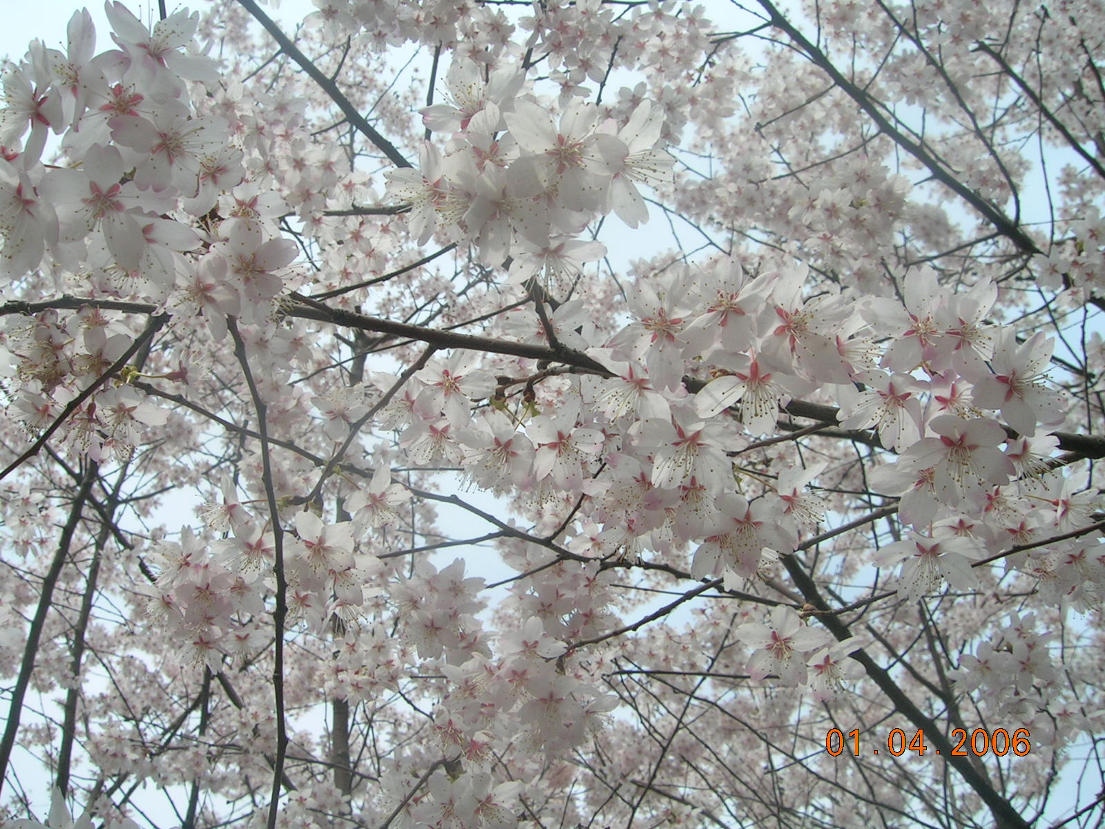 DSCN3011.JPG